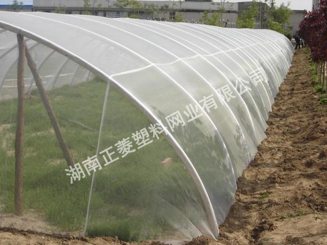 河北石家莊訂購(gòu)草藥防蟲網(wǎng)案例 河北石家莊訂購(gòu)草藥防蟲網(wǎng)案例