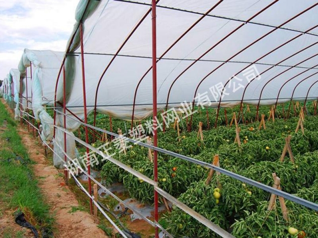 湖南岳陽(yáng)華容縣蔬菜種植基地訂購(gòu)防蟲網(wǎng)案例 湖南岳陽(yáng)華容縣蔬菜種植基地訂購(gòu)防蟲網(wǎng)案例